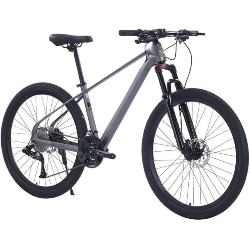 Steel Bike Comfortable Variable Speed MTB