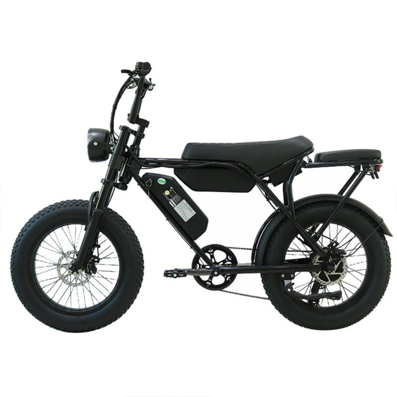 Dropshipping Electric Warehouse Electric Fat Tire Tyre Bike - Image 4