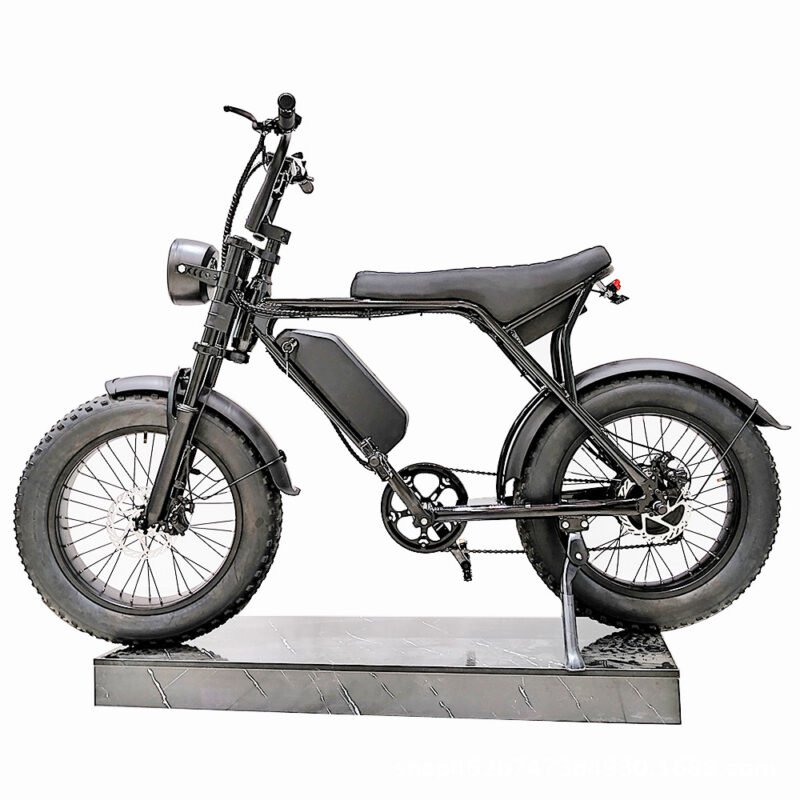 Dropshipping Electric Warehouse Electric Fat Tire Tyre Bike
