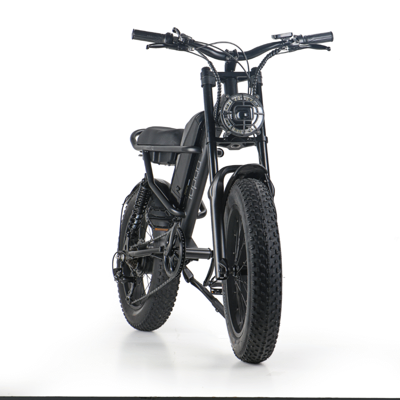 Mountain Dirt Hybrid Electric Bike Adult Fatbike Ebike - Image 3