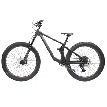 Customized Carbon Fiber Bicycle Full Suspension Mountain Bike 19 Inches